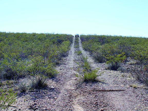 5th image of 4.28 Acres Rand Place #35