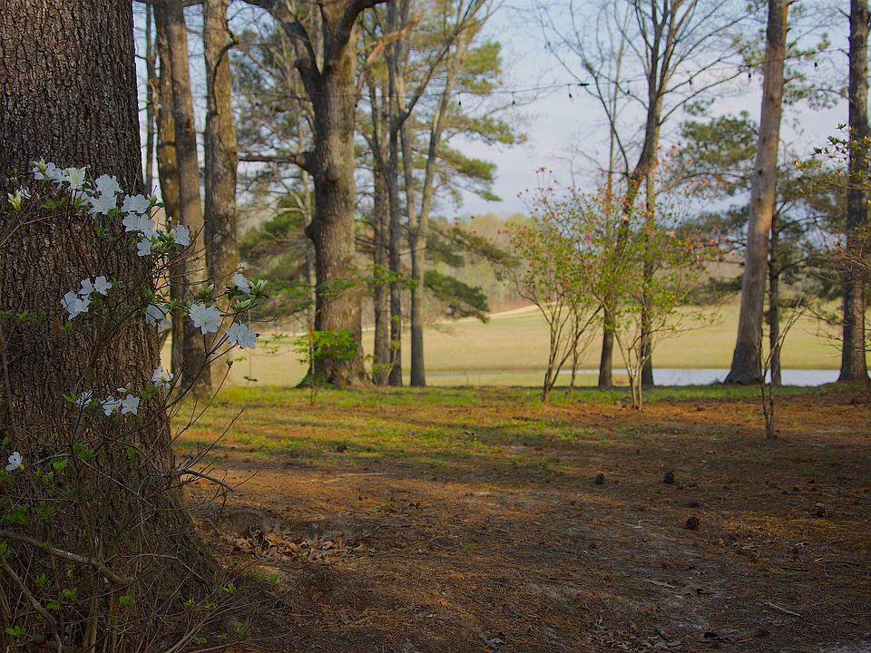 13th image of 3490 Yager Dr