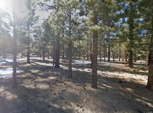 993 Wilderness Dr #19, Big Bear City, CA 92314