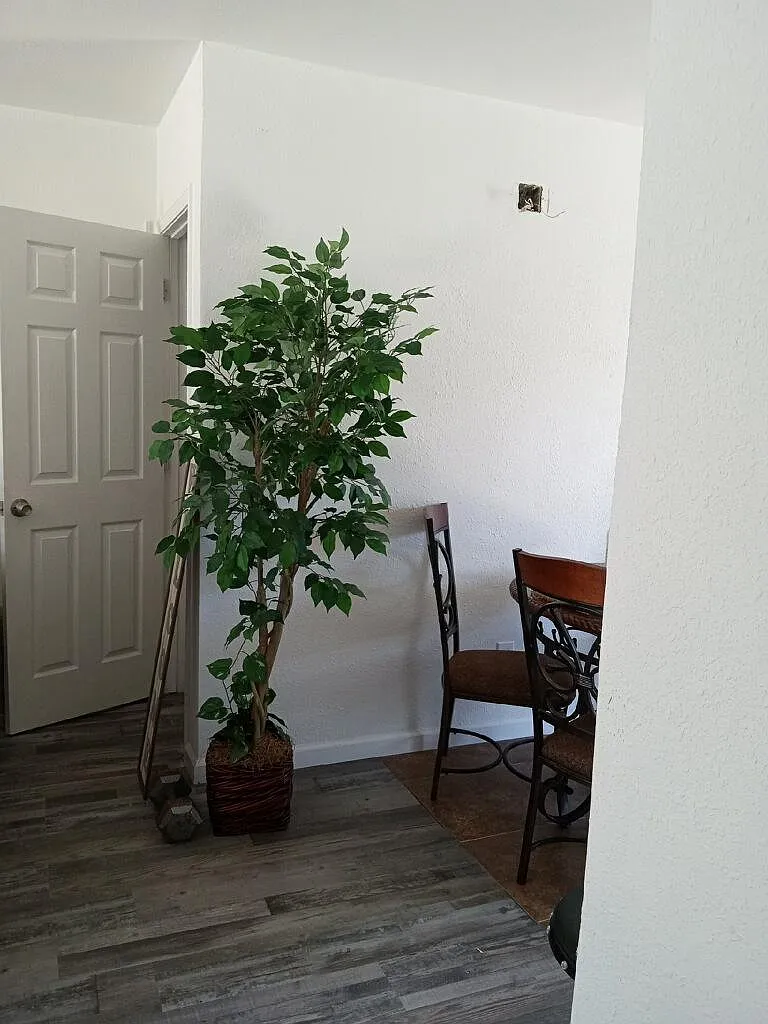 4 bed, 1385 sqft, $1,700 — Photo 1