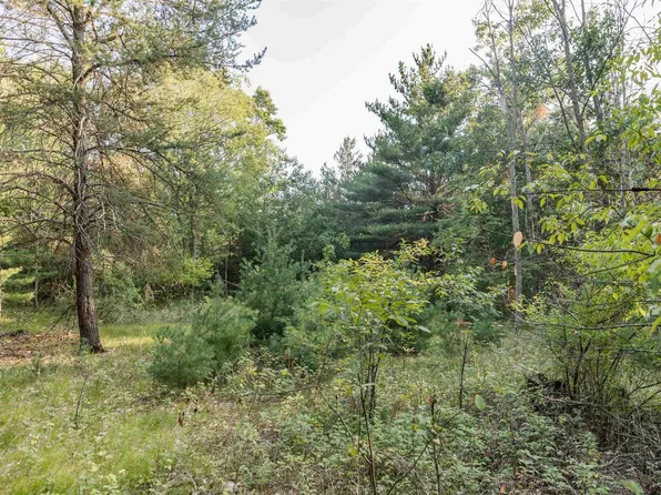 Lot 3 Deer Ridge Estates #3, Oxford, WI 53952