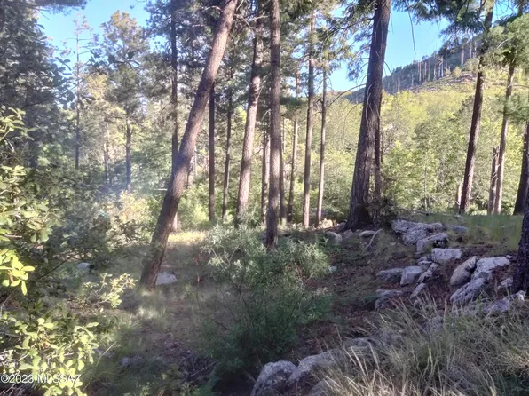 11173 E Carter Canyon Rd #33, Mount Lemmon, AZ 85619