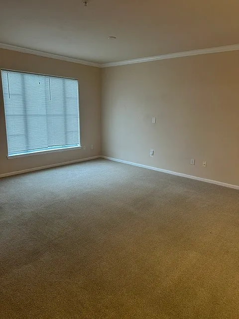 1 bed, 815 sqft, $1,350 — Photo 4