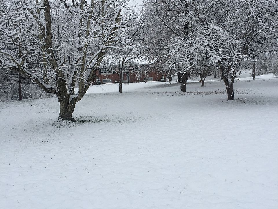 2nd image of 7322 W East Branch Dr