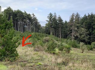 LOT 4-TL238 Manzanita St W, Tillamook, OR 97141
