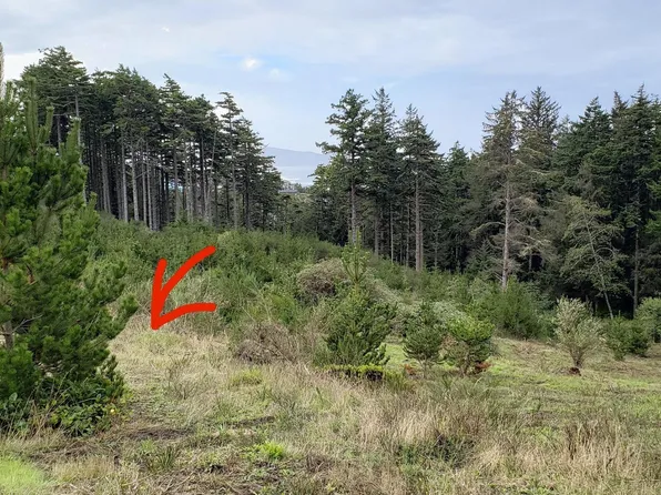 LOT 4-TL238 Manzanita St W, Tillamook, OR 97141
