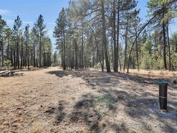 16619 S Sherman Rd, Cheney, WA 99004