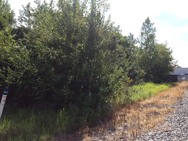 2nd image of Smith Rd