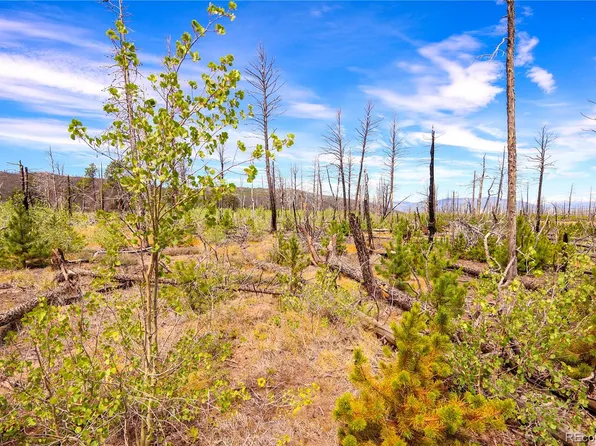 1386 Emery Loop, Fort Garland, CO 81133
