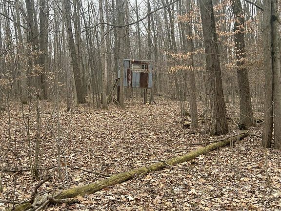 3rd image of S Pittsford Rd #-v/l