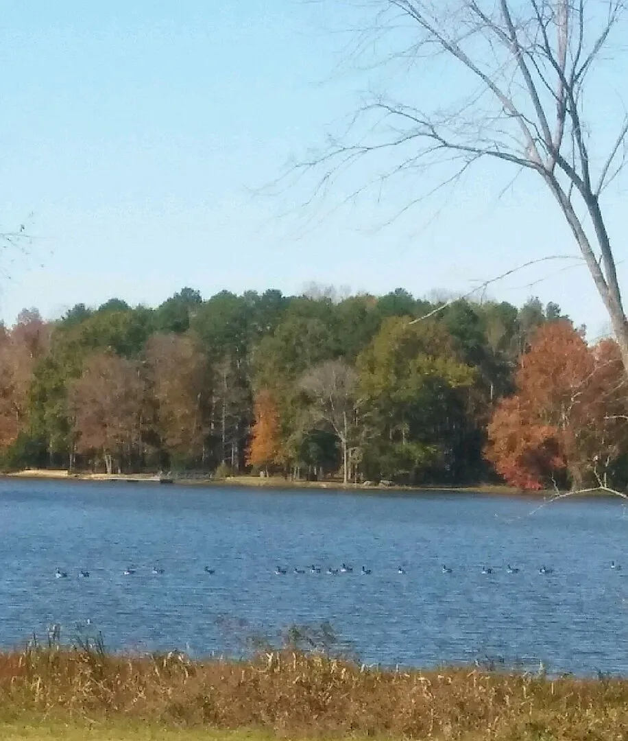Lake Front Property — Photo 1