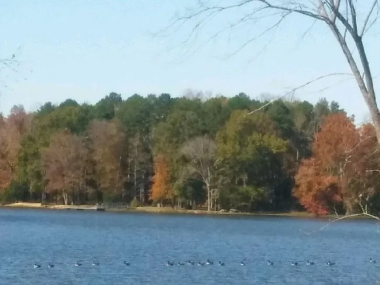 City Lake Dr — Photo 1