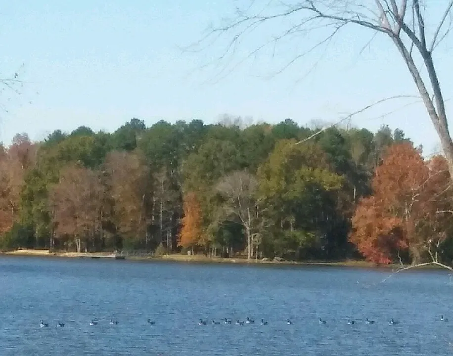 City Lake Dr