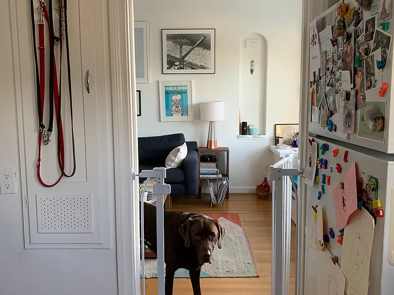 2336 Curtis St #B — Photo 6