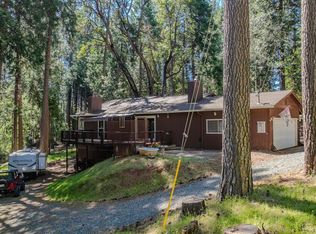 16927 McKenzie Dr, Pioneer, CA 95666