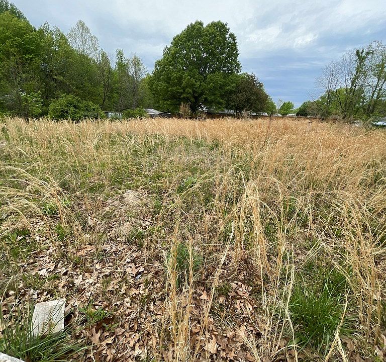 2nd image of 196 Page Rd