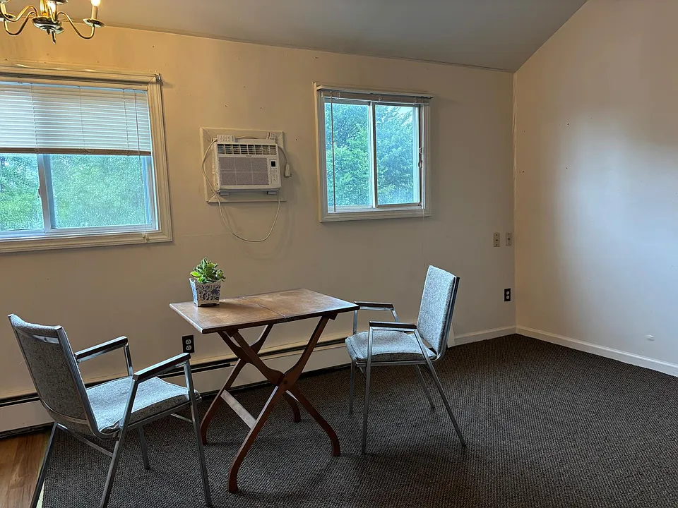 dining-living room area