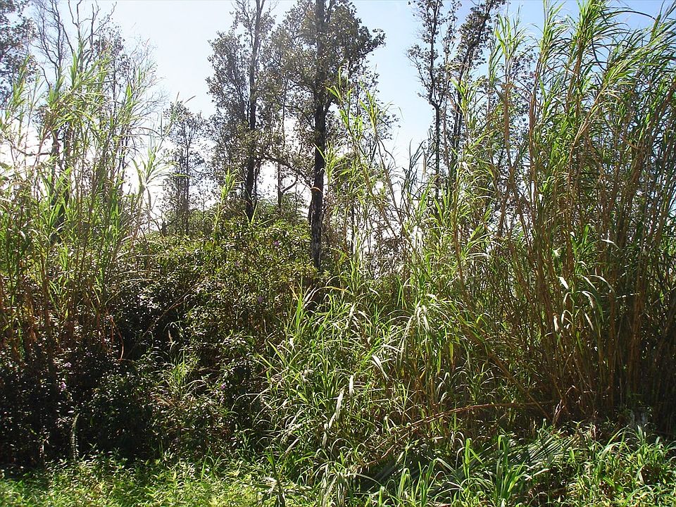 2nd image of King Kamehameha Blvd Lot 78