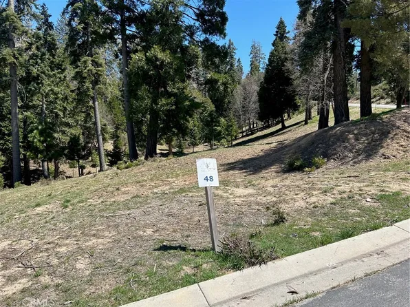 215 Ponderosa Peak Rd Lot 48, Cedar Glen, CA 92321