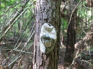 Highway 550 NW, Brookhaven, MS 39601