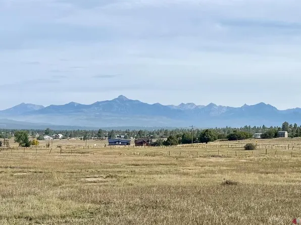 49 Marmot Court, Pagosa Springs, CO 81147