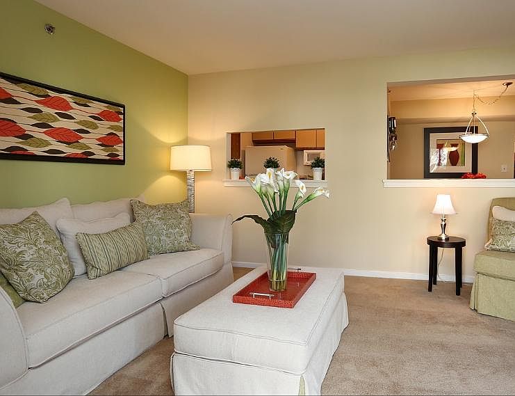 1 Bedroom Living Room
