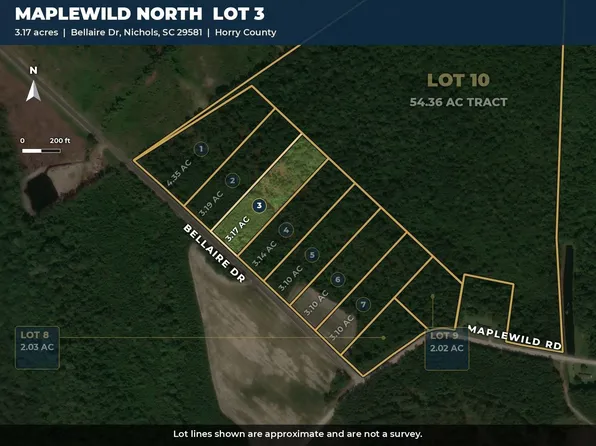 TBD Bellaire Dr. Lot 3, Nichols, SC 29581