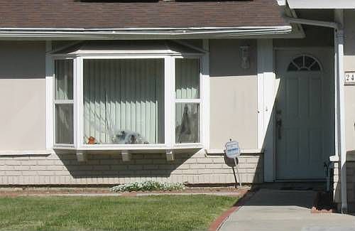 1st image of 2427 E Belinda St