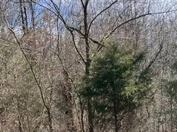 2938 Cougar Dr, Spencer, IN 47460