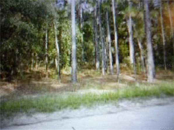 855 S Fairlane Ter #11, Lecanto, FL 34461