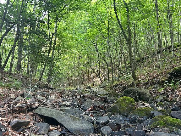 3rd image of 0 Beaver Dam Rd