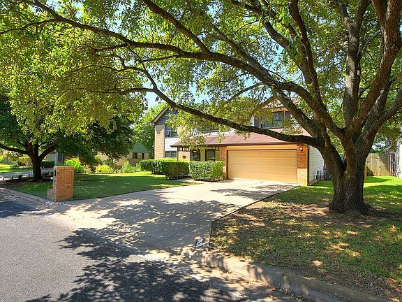 Beautiful, mature oak trees