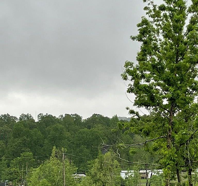 296 Clarence Woodis Rd, Madisonville, KY 42431 MLS 114391 Zillow