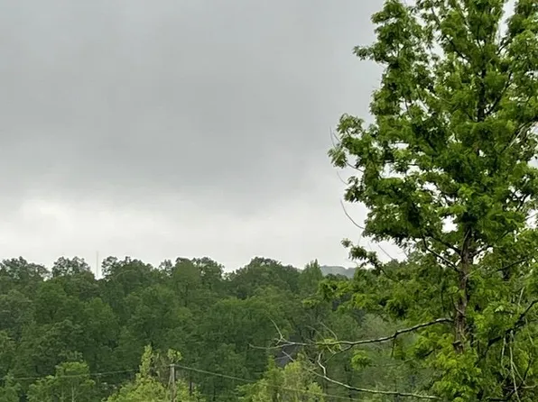 296 Clarence Woodis Rd, Madisonville, KY 42431