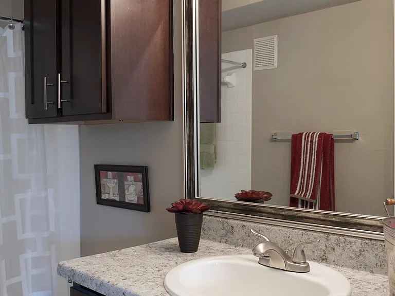 Sleek Modern Bathroom in Carrollton Apartment