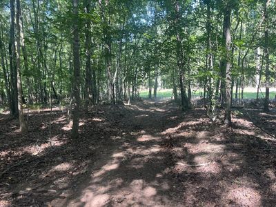 0 Scott Ln, Iron City, TN, 38463