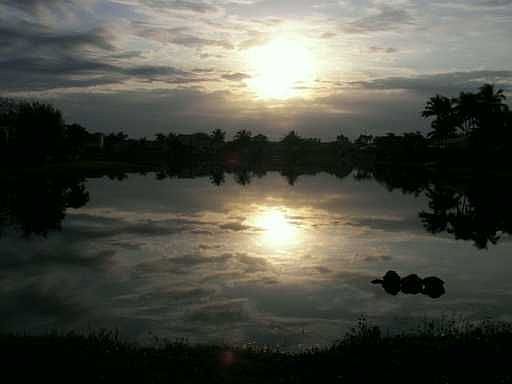 LAKE VIEW