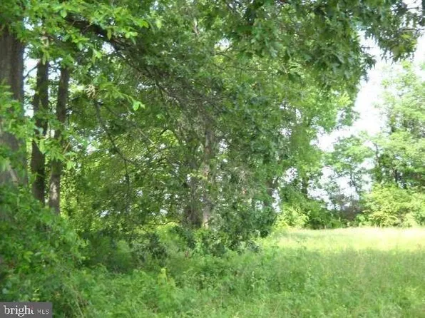 Vaughn Dr, Bushwood, MD 20618