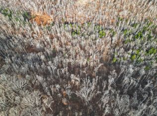 Rustic Valley Dr LOT 59, Waverly, TN 37185