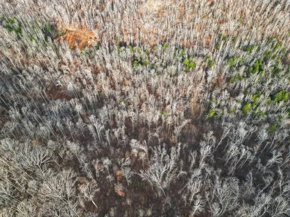 Rustic Valley Dr Lot 59, Waverly, TN 37185