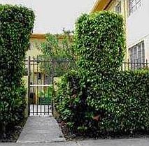 2nd image of 8300 Crespi Blvd APT 4