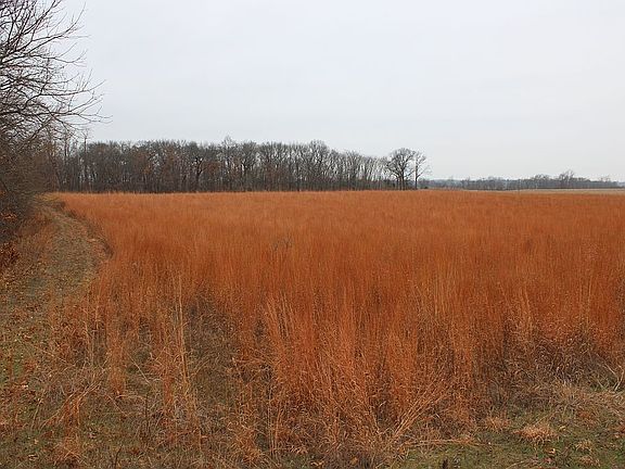 4th image of 155 County Road 980