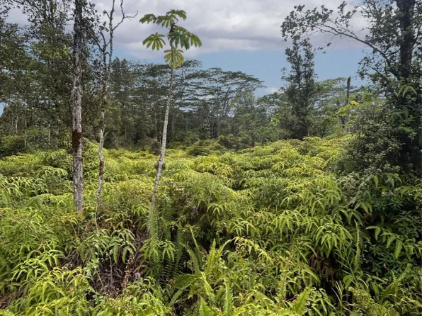 Ginger Rd Lot 309, Pahoa, HI 96778