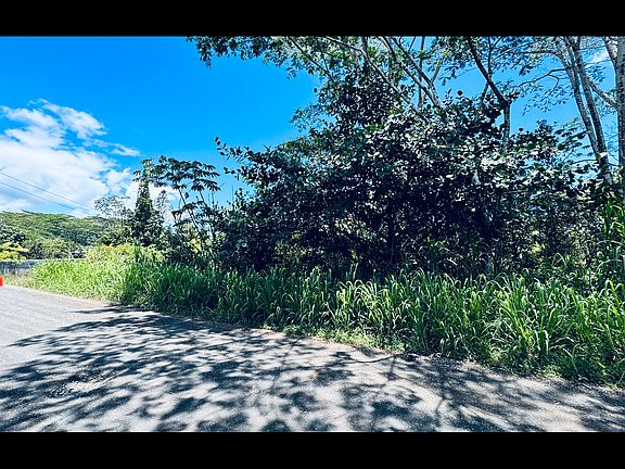 5th image of 19th Avenue Manako Lot 280