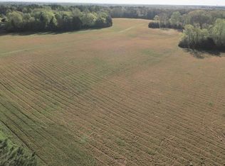 4 Lick Creek Rd, Michie, TN 38357