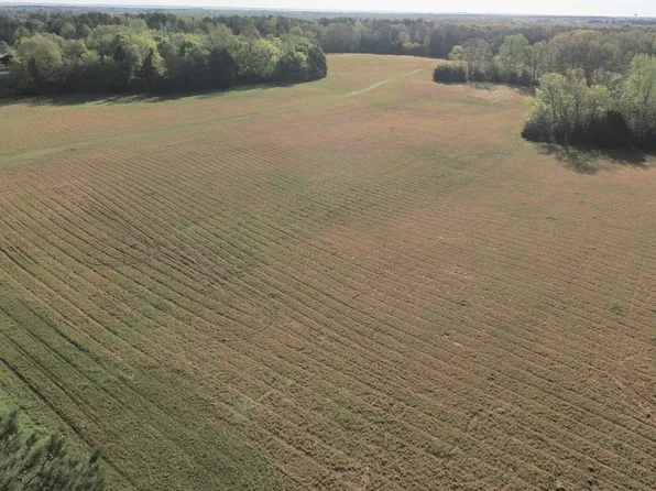 4 Lick Creek Rd, Michie, TN 38357