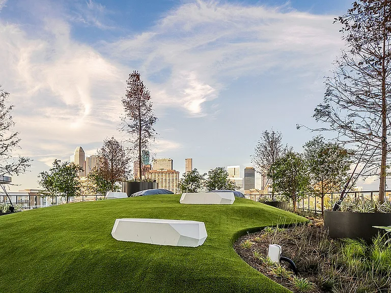 Rooftop Lawn