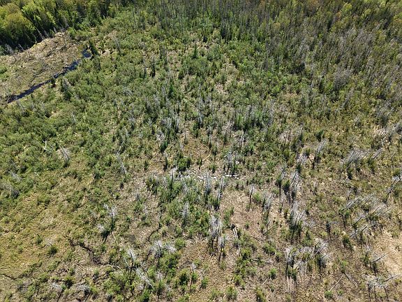 2nd image of Island Lake Rd S