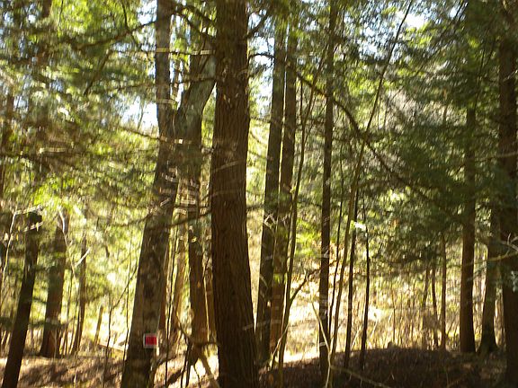 4th image of 602 Ouaquaga Rd