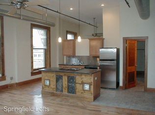 218 E Walnut St APT 303, Springfield, MO 65806